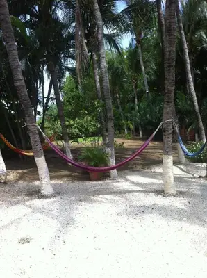 a hammock hanging between two palm trees on the beach at Hotel Laguna del Cocodrilo in Tamarindo