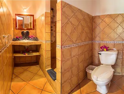 a bathroom with a toilet and a sink at Hotel Laguna del Cocodrilo in Tamarindo