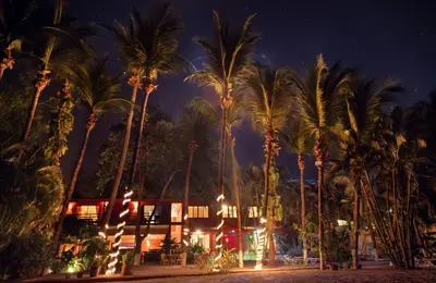 a group of palm trees in front of a building at Hotel Laguna del Cocodrilo in Tamarindo
