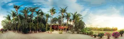 a painting of a resort with palm trees and a building at Hotel Laguna del Cocodrilo in Tamarindo