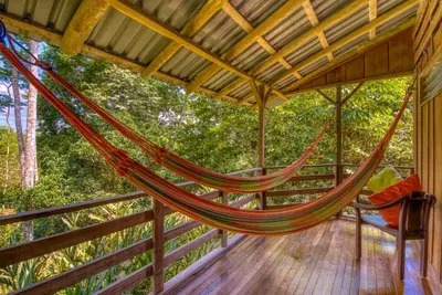 Gallery image of Selva Bananito Lodge in Westfalia