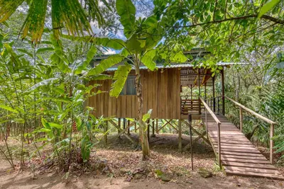 Gallery image of Selva Bananito Lodge in Westfalia