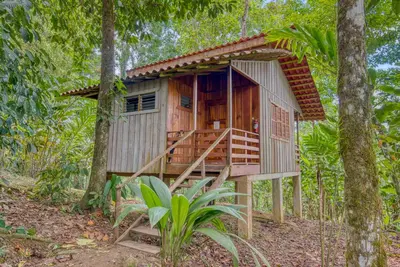 Gallery image of Selva Bananito Lodge in Westfalia