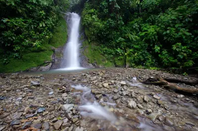 Gallery image of Selva Bananito Lodge in Westfalia