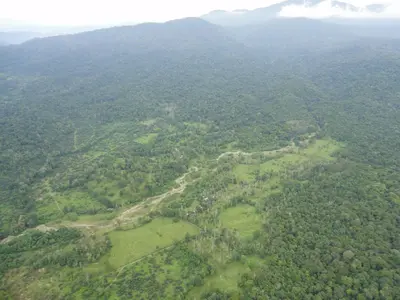Gallery image of Selva Bananito Lodge in Westfalia