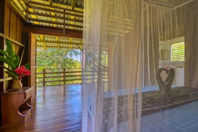 Gallery image of Selva Bananito Lodge in Westfalia