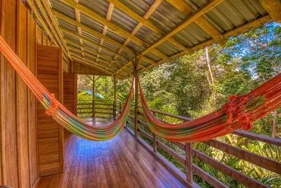 Gallery image of Selva Bananito Lodge in Westfalia