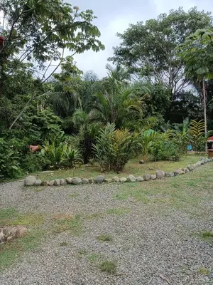 a row of rocks in a garden with trees at Selva Linda Lodge jungle wildlife vue and birdwatching in Quepos