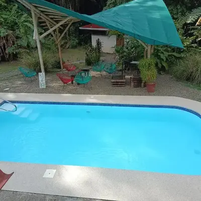 Selva Linda Lodge jungle wildlife vue and birdwatching