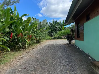 a gravel road next to a house with plants at Cabaña Rural Ave del Paraíso in Fortuna