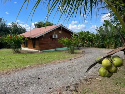 a house with a bunch of coconuts in front of it at Cabaña Rural Ave del Paraíso in Fortuna