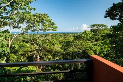 a view of the forest from the balcony at Jungle Lodge at Wild Sun Rescue Center in Cabuya