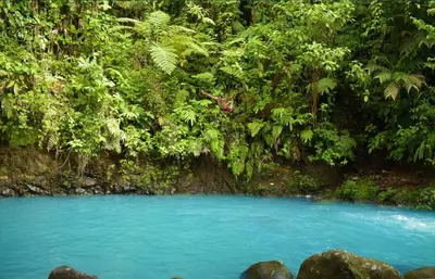 a blue river in the middle of a forest at Posada Río Celeste La Amistad in Rio Celeste