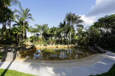 a pond in the middle of a park with palm trees at Arenal Paraiso Resort Spa & Thermo Mineral Hot Springs in Fortuna