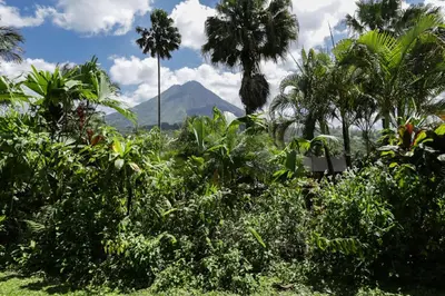 a view of a mountain with palm trees and bushes at Arenal Paraiso Resort Spa & Thermo Mineral Hot Springs in Fortuna