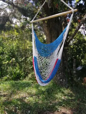 a hammock hanging from a tree in a forest at Suite y Loft Casa Toría in San Isidro