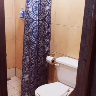 a bathroom with a toilet and a shower curtain at Apartamento 2 habitaciones - Morpho CR in Tejar