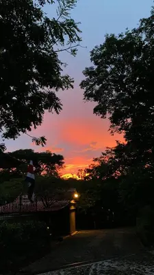 a sunset with the sun setting behind two trees at Casas del Toro Playa Flamingo in Playa Flamingo