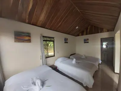 a room with two beds and a window at Bella Vista Lodge in Monteverde Costa Rica