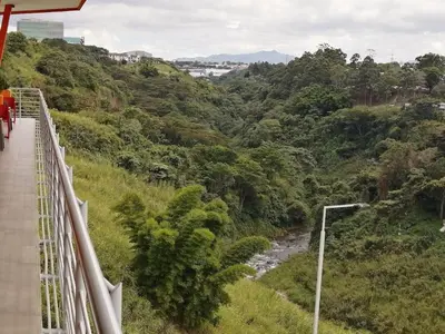 a suspension bridge over a river in a forest at Boho Chic, Apart- condo cerca de SJO Intl airport in Barrial