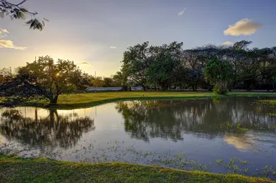 a pond in a park with trees in the background at Hacienda La Pacífica Eco-Lodge in Cañas