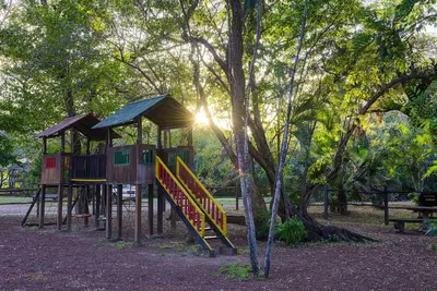 a playground in a park with a tree at Hacienda La Pacífica Eco-Lodge in Cañas
