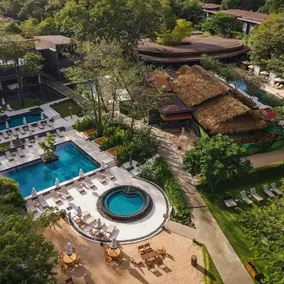 El Mangroove Papagayo
