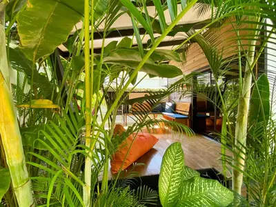 a room filled with lots of green plants at Santeria Lodge in Santa Teresa Beach