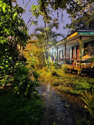 a train traveling through a forest at night at Cabinas Tortuguero in Tortuguero