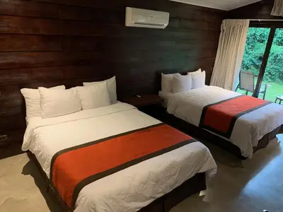two beds in a room with wooden walls at Sangregado Lodge in Fortuna