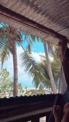 a person in a hammock looking out at a palm tree at Surfhost in Garza