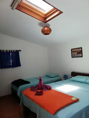 a bedroom with two beds and a skylight at Pochote Lodge in Hacienda Guayabo