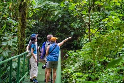 a group of people on a bridge in the jungle at Lost Iguana Resort and Spa in Fortuna