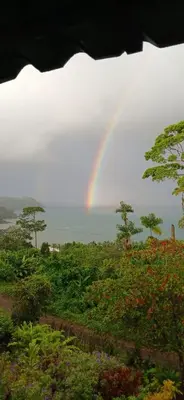 a rainbow over a field with trees and flowers at Bella Vista Corcovado in Drake