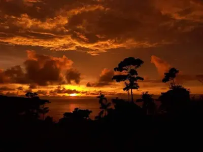 a sunset over a body of water with a tree at Bella Vista Corcovado in Drake