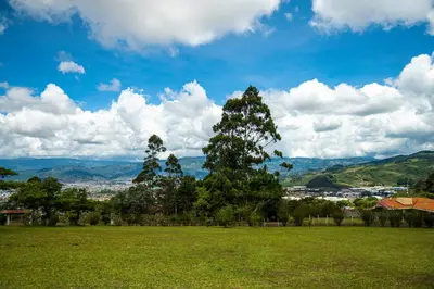a green field with two trees and a city at Country house, Cozy Fireplace and an amazing view in Cartago