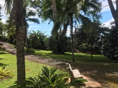 a bench in a park with palm trees at blanc haus in Grecia