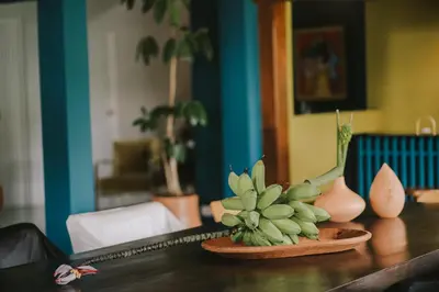 a plant sitting on top of a wooden table at Casa 41 in Escazu