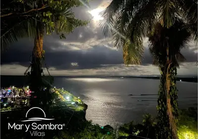 a view of the ocean from between two palm trees at Mar y Sombra Villas in Quepos