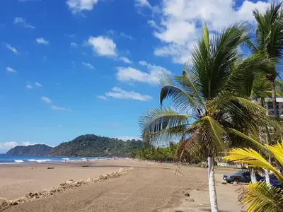 a beach with a palm tree and a car on it at 3Room Penthouse Beach Condo in Jacó