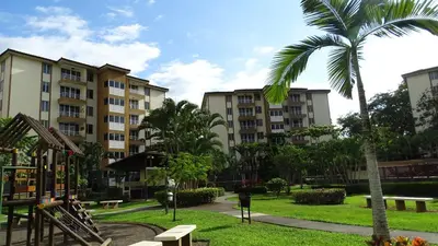 a palm tree in a park with buildings at 3Room Penthouse Beach Condo in Jacó