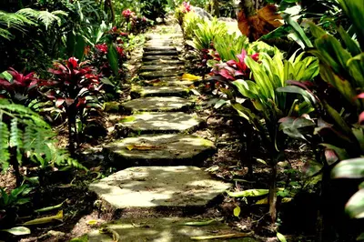 a stepping stone path in a garden with flowers at Guayabo Lodge in Santa Cruz
