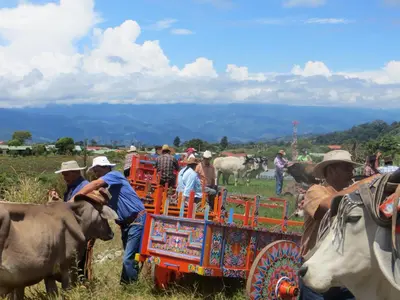 a group of people standing in a field with cows at Guayabo Lodge in Santa Cruz