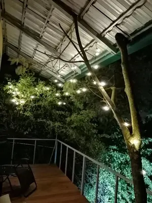 a patio with a tree and lights on it at Cabaña treehouse Mountain View in San Isidro