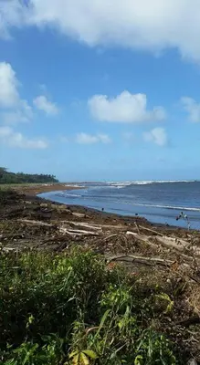 a view of a beach with the ocean in the background at Cabinas ensueños in Tortuguero