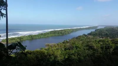 a view of a river with trees and the ocean at Cabinas ensueños in Tortuguero
