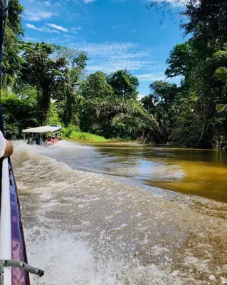a boat ride down the river in the jungle at Cabinas ensueños in Tortuguero
