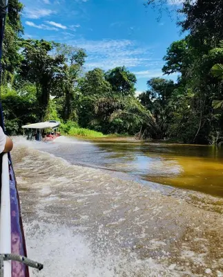 a boat ride down a river in a jungle at Cabinas ensueños in Tortuguero