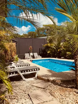 a swimming pool with two lounge chairs and a palm tree at Hotel Daleese in Uvita