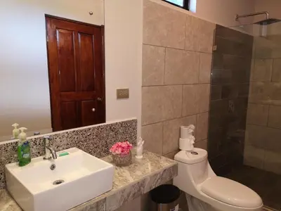 a bathroom with a sink and a toilet and a shower at Hotel Amira in Carrillo